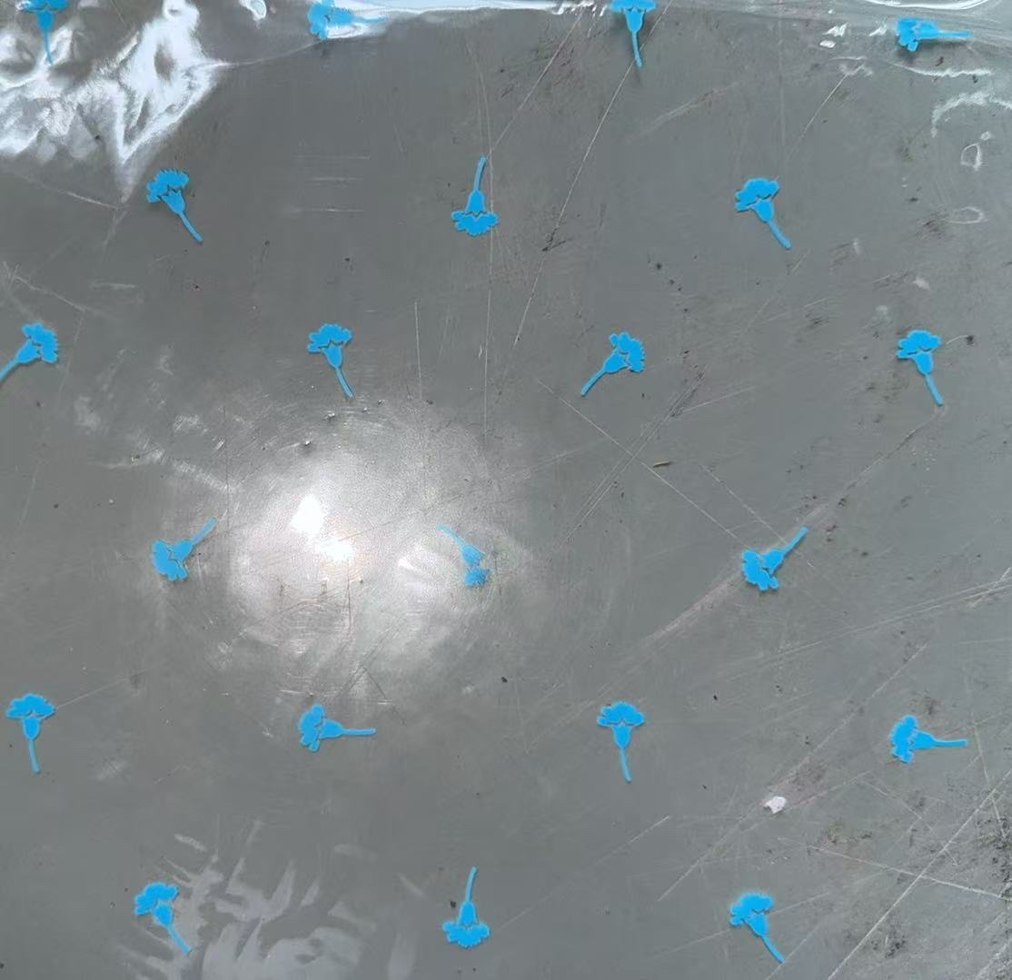 Transparent printed film detail image 12