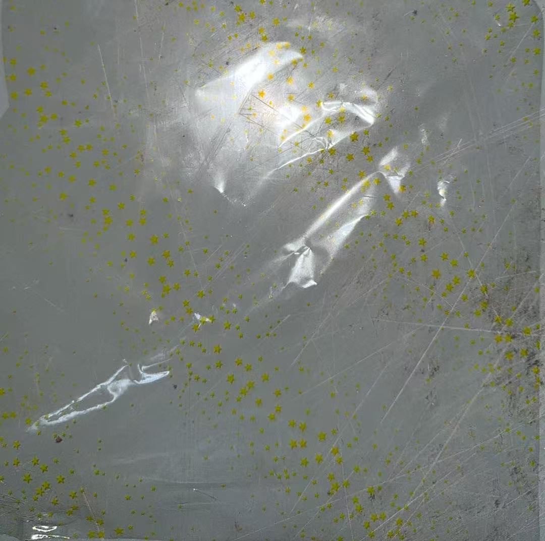 Transparent printed film detail image 17