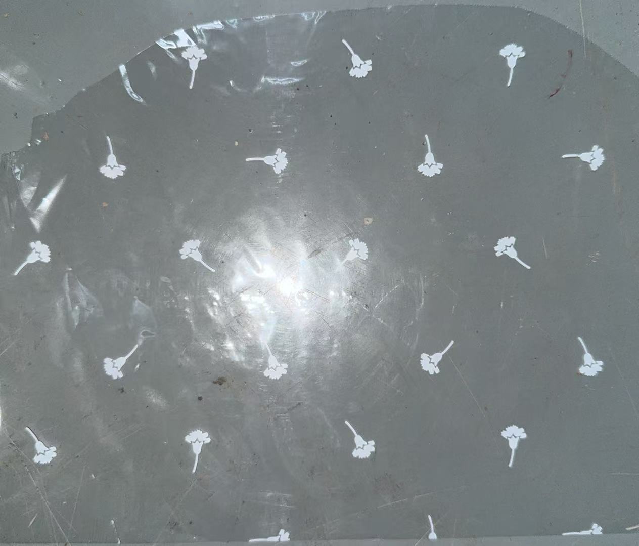Transparent printed film detail image 15