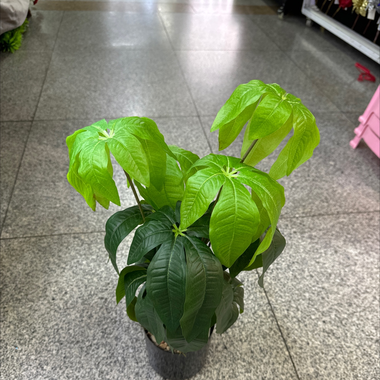手工陶瓷工艺品摆件客厅书房装饰礼品创意家居八角金盆盆景

