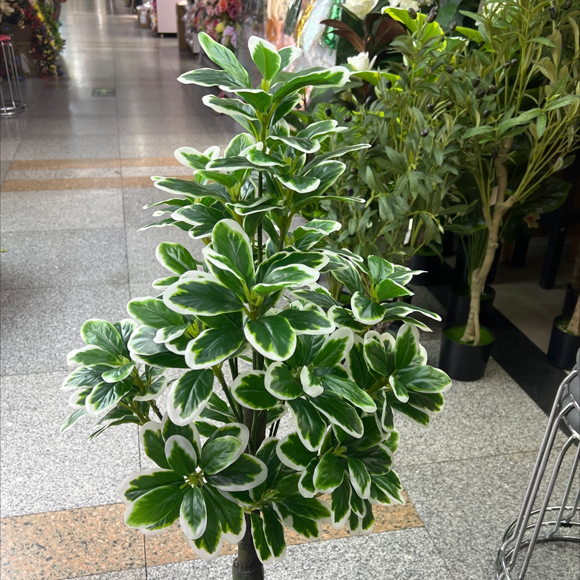 办公仿真园艺枝叶树仿真花树。钻石白边木仿真花树仿真树