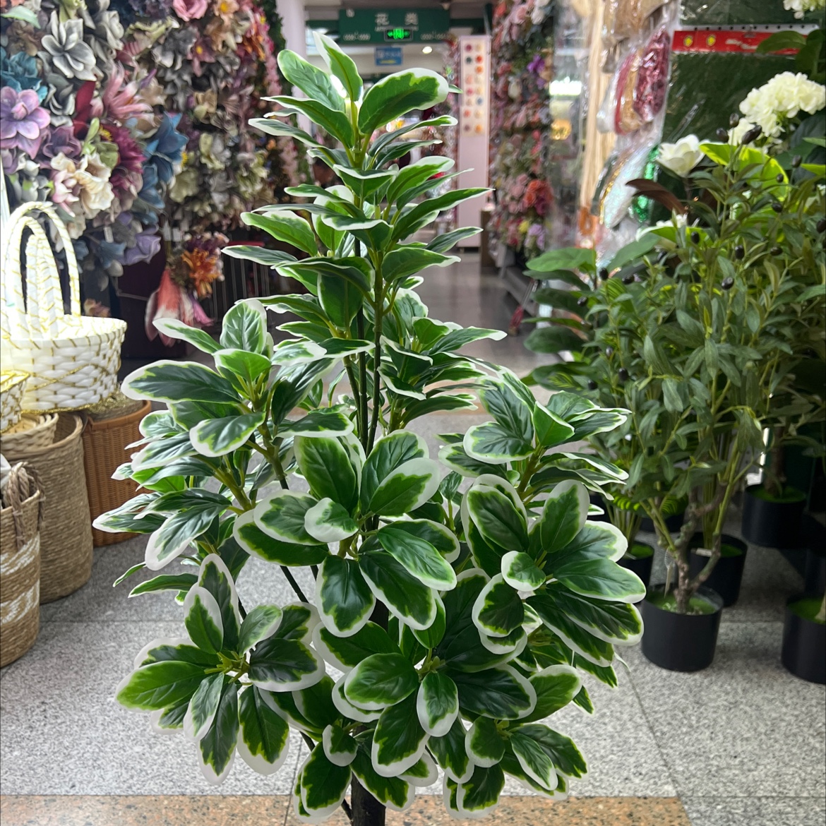 办公仿真园艺枝叶树仿真花树。钻石白边木仿真花树仿真树细节图