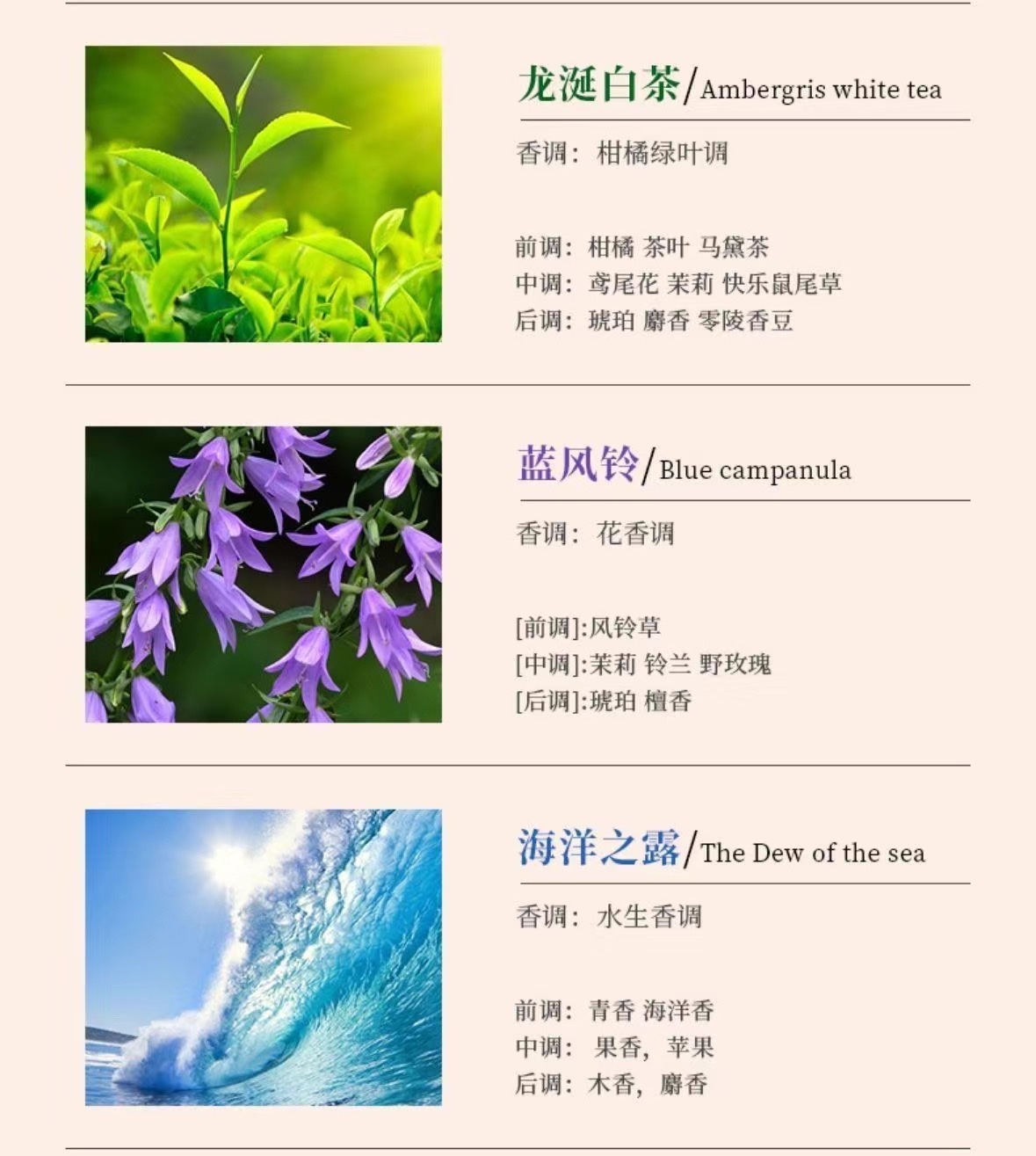 A creative night light for the bedroom, a high-end birthday gift with a unique aroma design detail image 10