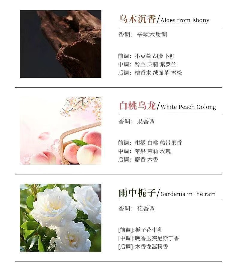 Zhengji Gypsum Cat Aromatherapy Home Bedroom and Study Creative Decoration, Diffuser stone, sleep-inducing fragrance Night light detail image 9