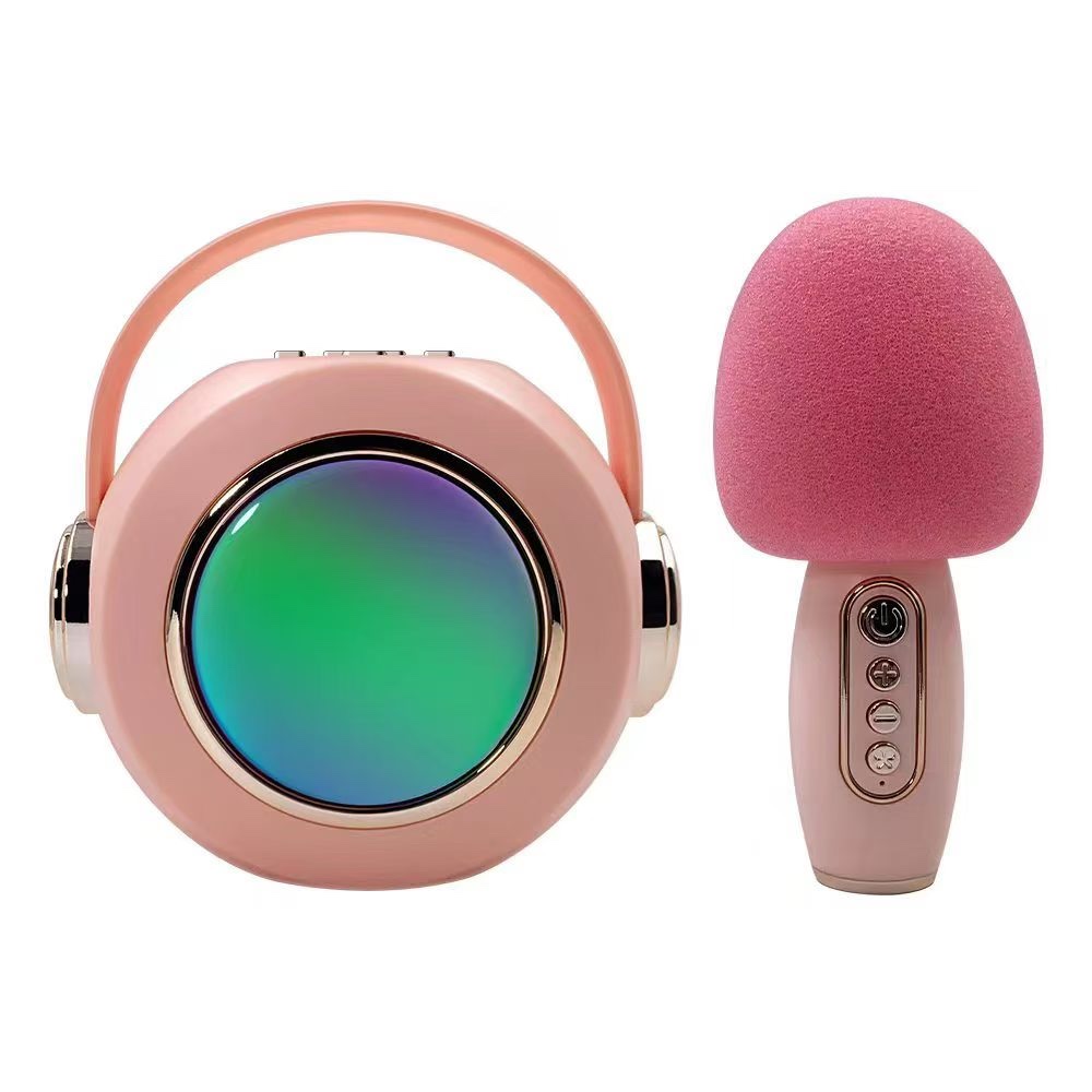 Wireless Bluetooth karaoke speaker with microphone Application Scenario