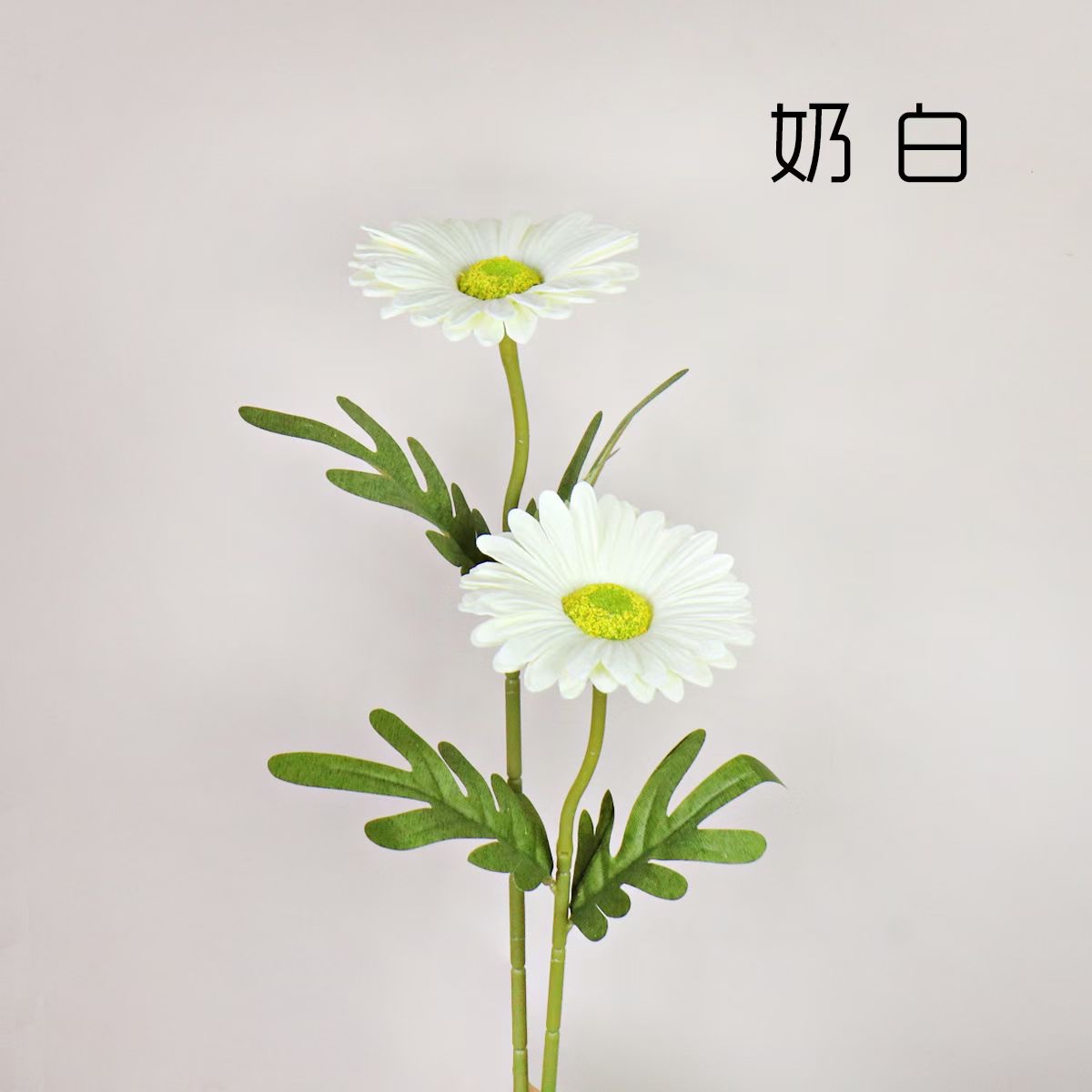 彩色仿真扶郎菊带叶花束家居装饰摆件婚礼庆典用仿真植物仿真花详情图5