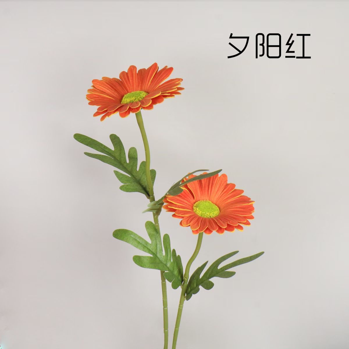 彩色仿真扶郎菊带叶花束家居装饰摆件婚礼庆典用仿真植物仿真花详情图7