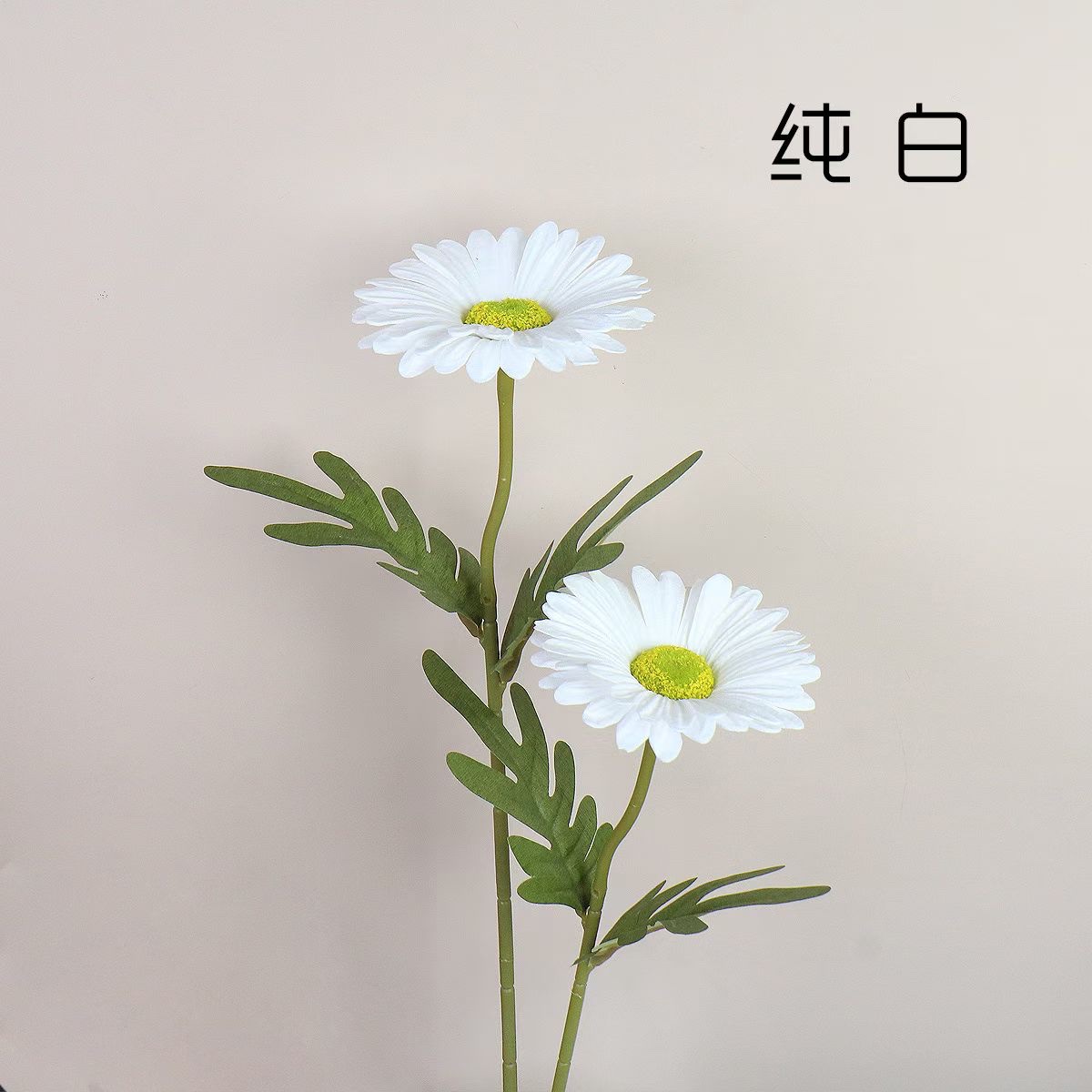 彩色仿真扶郎菊带叶花束家居装饰摆件婚礼庆典用仿真植物仿真花详情图3