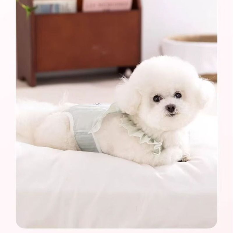Tian Si Cool Pet Physiological Pants with lotus leaf flapping straps, breathable mesh crotch, anti-disturbance Pet hygiene pants during menstruation Specification image