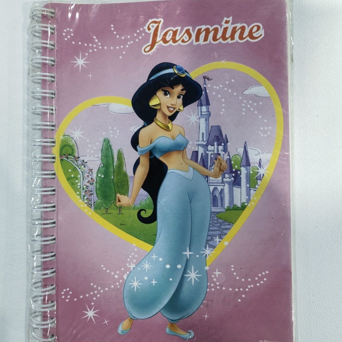 Export customized A5 coil Princess exercise book, glossy coil notebook pic 4