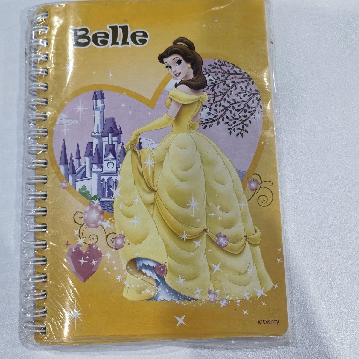 Export customized A5 coil Princess exercise book, glossy coil notebook