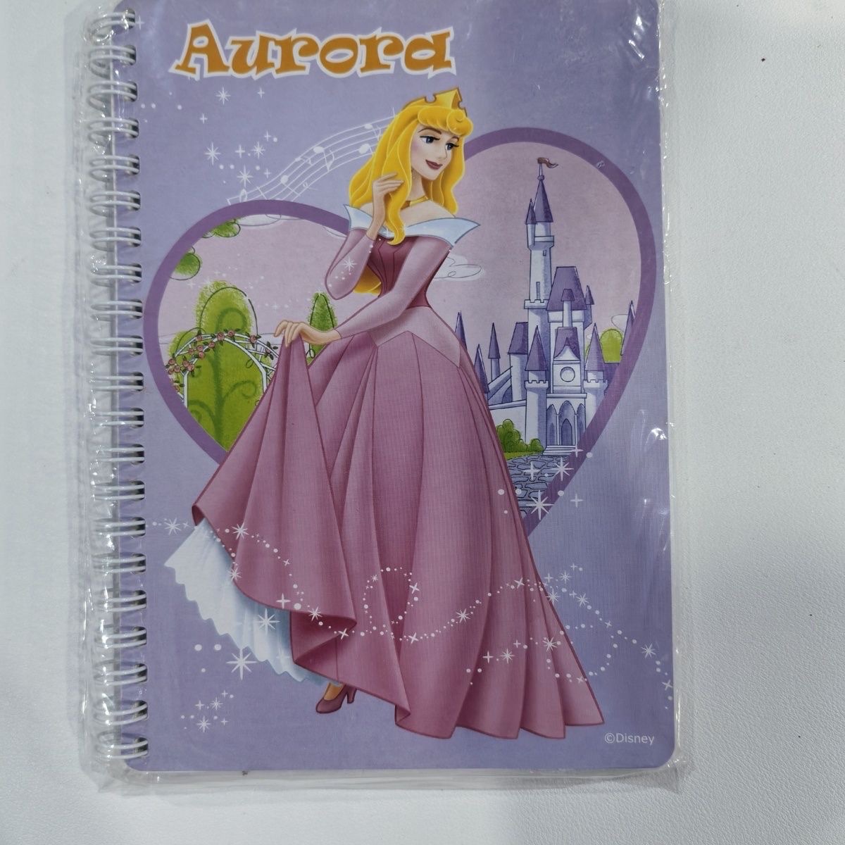 Export customized A5 coil Princess exercise book, glossy coil notebook pic 3