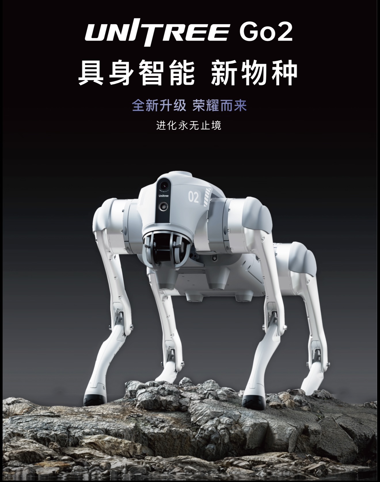 Yushu Go2 robot Dog Experience Service