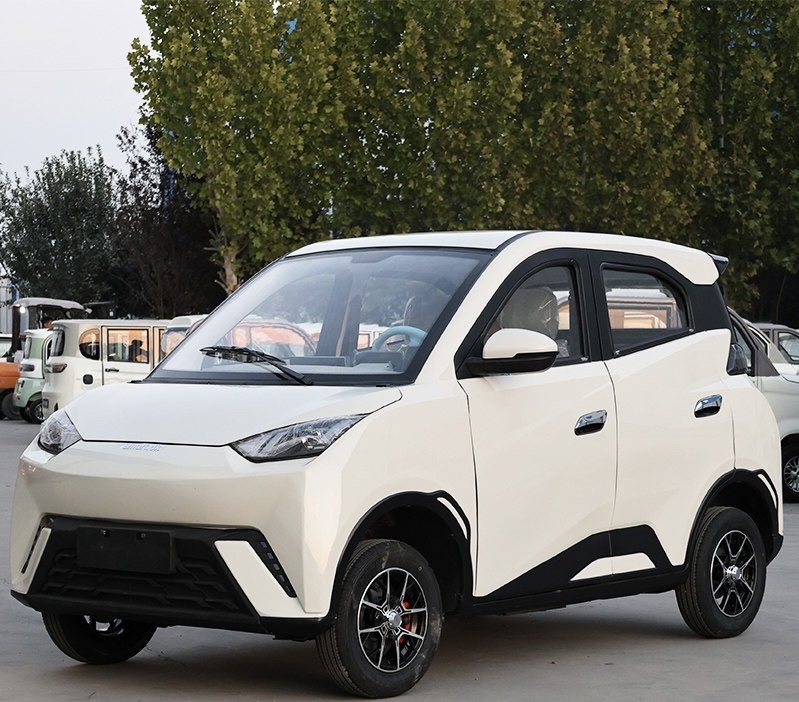 The Seagull electric four-wheeler is a fully enclosed lithium battery-powered electric vehicle for home use, used for oil and electricity transportation, and for women