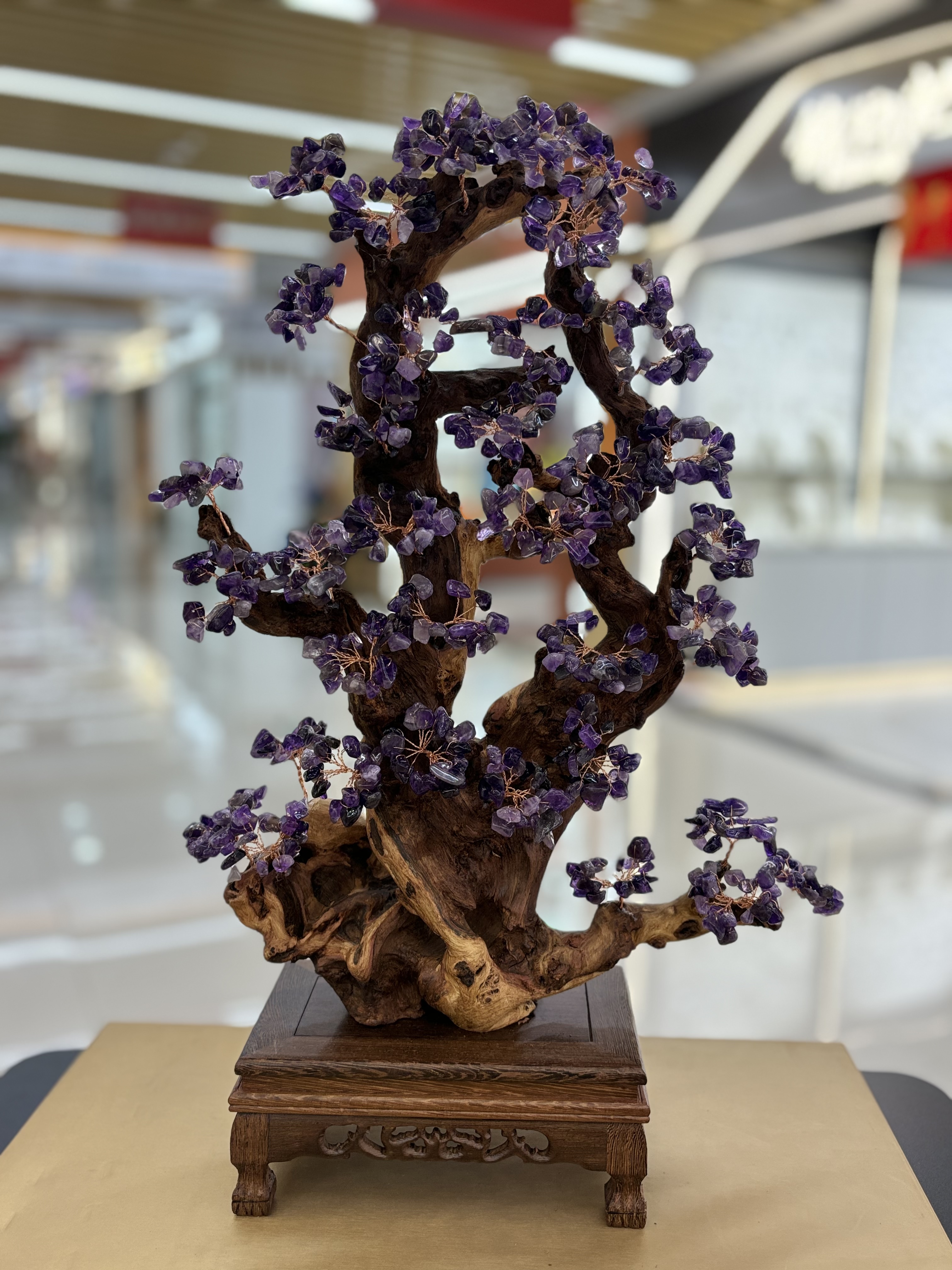 Natural amethyst tree ornaments for home living room, entrance hall, company front desk, attracting wealth, shaking money, warding off evil spirits, housewarming and opening ceremony gifts -5 Item Picture