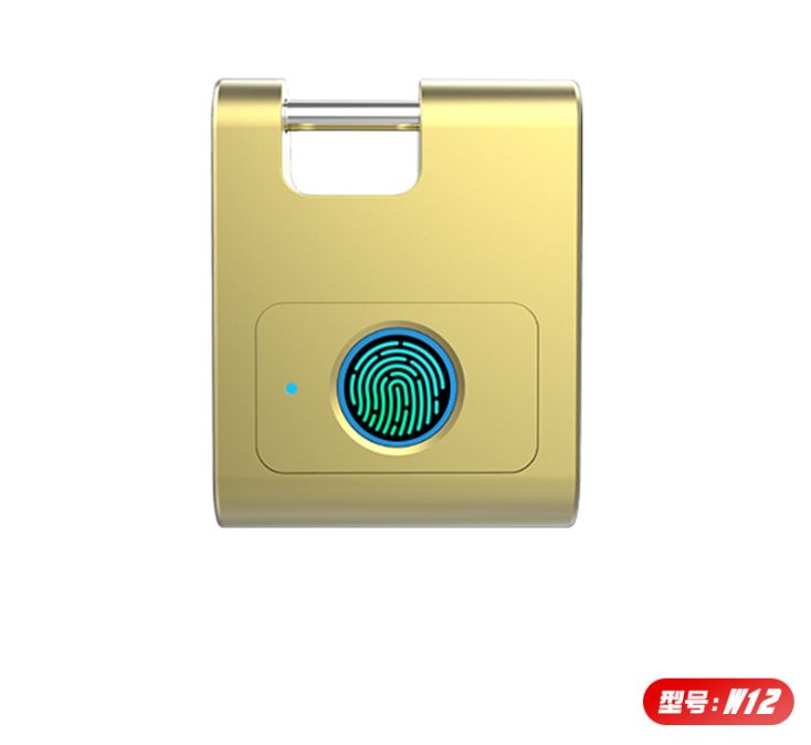 Yiwu good cargo W12 inteligente huella digital candado huella digital cerradura electrónica detail image 1