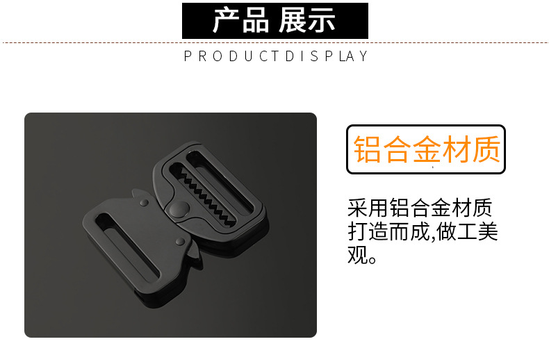皮带扣实物图