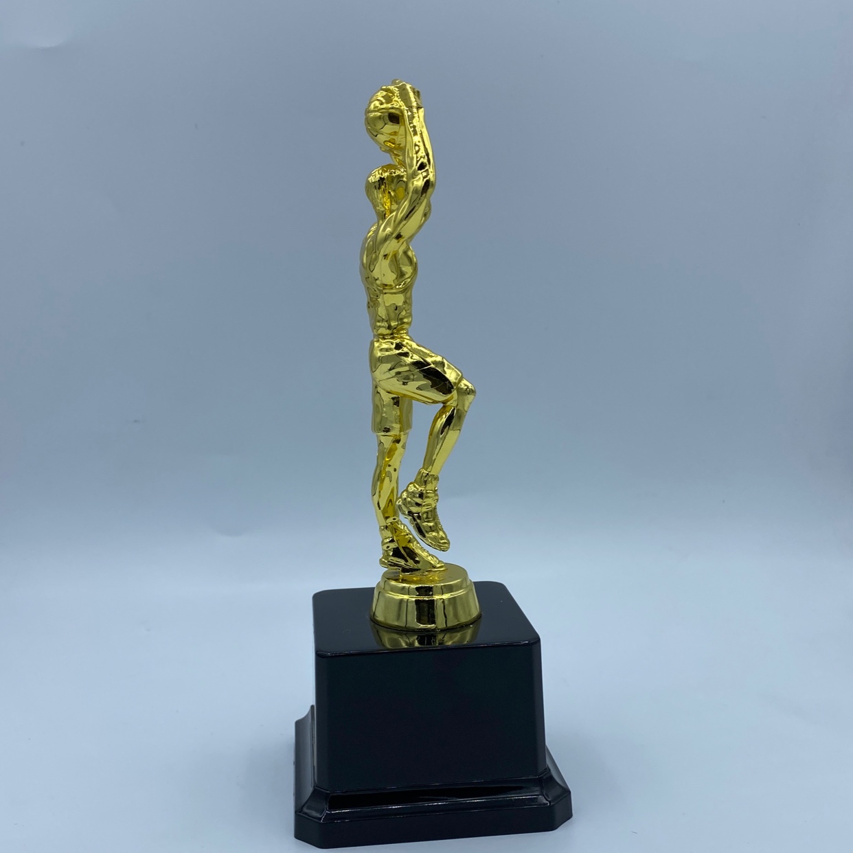 Trofeo brillante venta directa de fábrica mini trofeo de baloncesto deportivo de 19.5CM premio de premio de competición de baloncesto Specification image