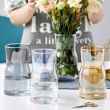 2016011简约小清新珠光贝母色玻璃花瓶透明现代餐桌摆件插花