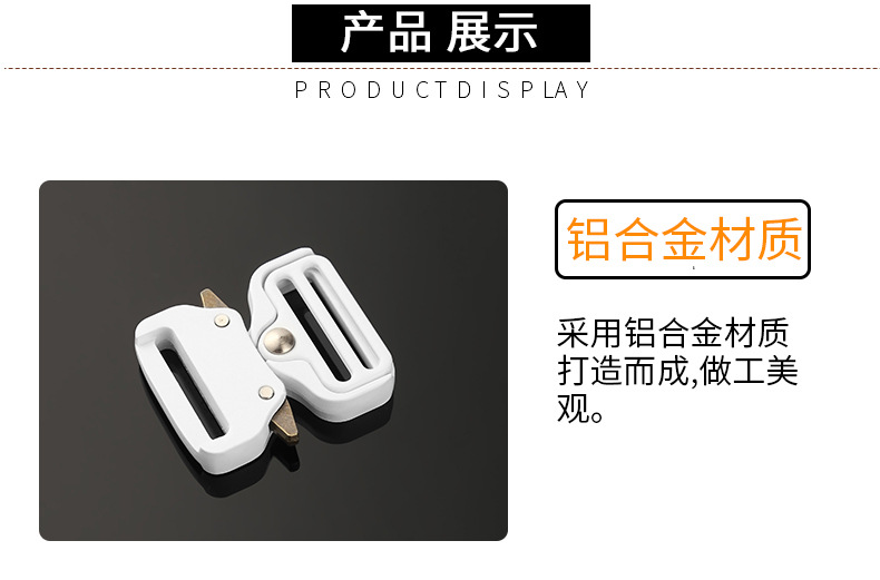 皮带扣实物图