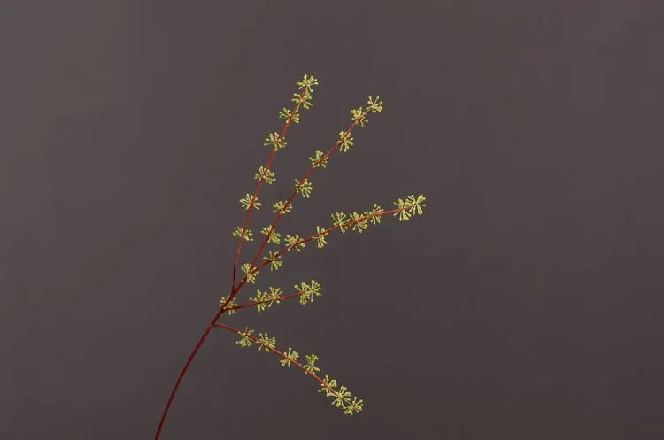 Lanjin Factory wholesales artificial soft gum fruit, artificial berries, artificial touch rubber hanging fruit, lover's tears, green plants, living room, dining table, entrance hall decoration, artificial flowers and decorative items detail image 7