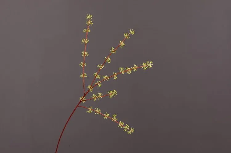 Lanjin Factory wholesales artificial soft gum fruit, artificial berries, artificial touch rubber hanging fruit, lover's tears, green plants, living room, dining table, entrance hall decoration, artificial flowers and decorative items detail image 8