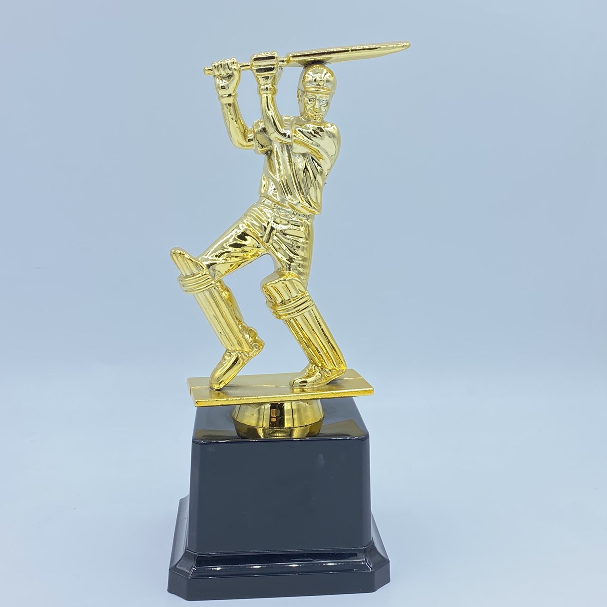 Cricket match Indian trophy, Glorious trophy, plastic factory direct sales and wholesale, 18.5CM custom logo Item Picture