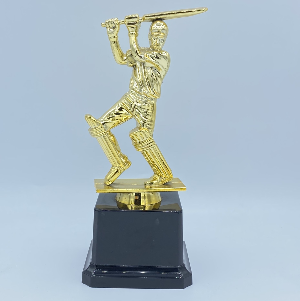 Cricket match Indian trophy, Glorious trophy, plastic factory direct sales and wholesale, 18.5CM custom logo