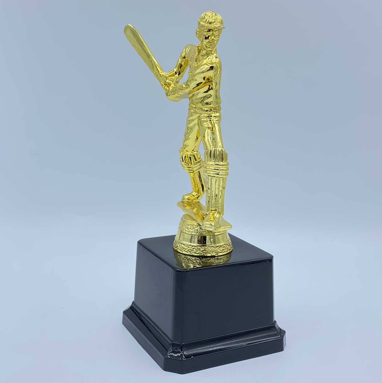 Factory direct sales cricket, Indian trophy, plastic trophy, glorious trophy, medal, 17CM, customizable logo Specification image