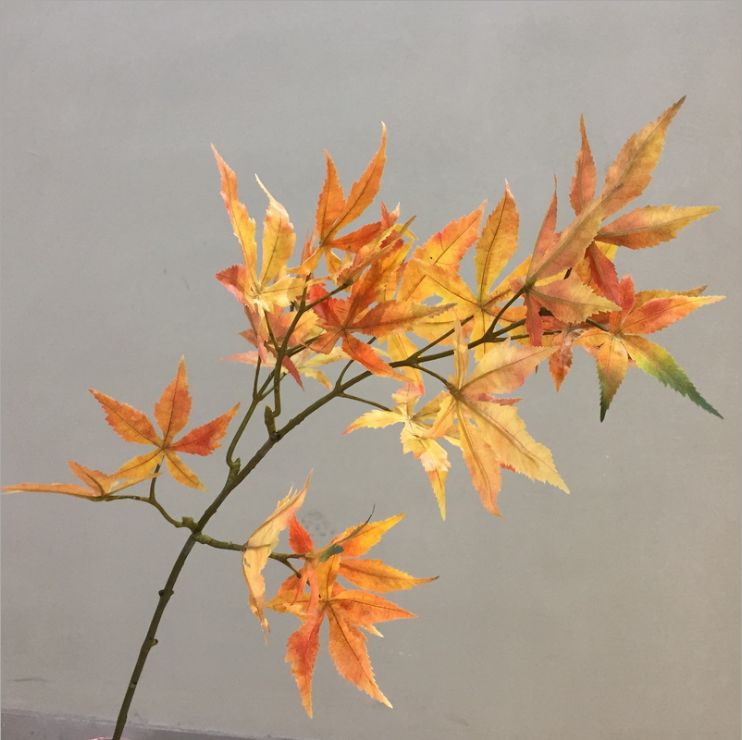 Simulated green plant wholesale manufacturers direct simulation tree materials with Nordic simple decorative decorations simulation maple leaf thumbnail