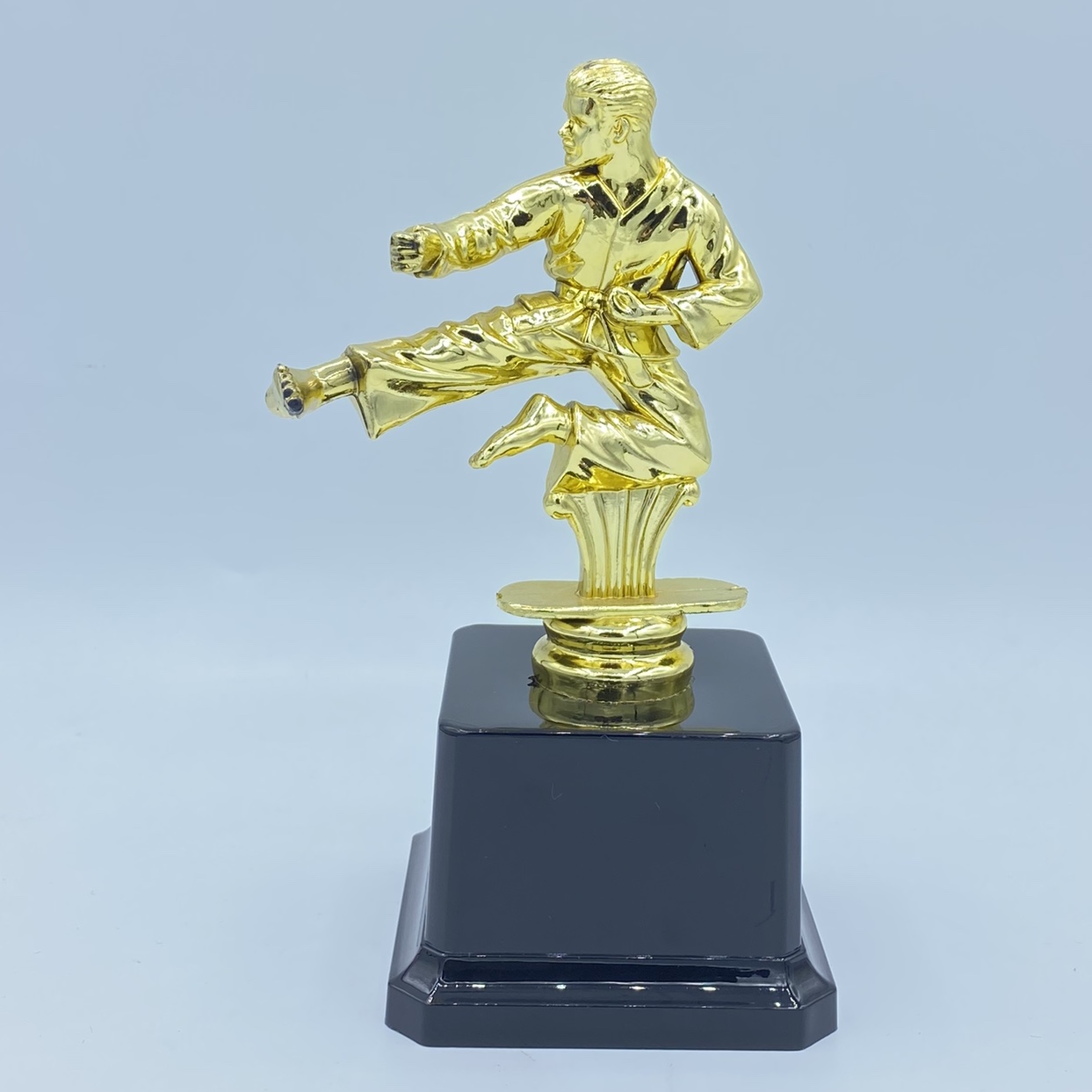 Trofeo brillante trofeo de plástico taekwondo concurso premios de recompensa 16.5CM logotipo personalizado disponible undefined