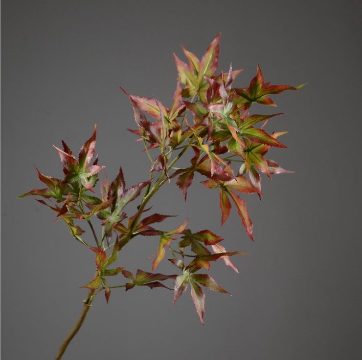 Lanjin Wholesale Factory direct sales of artificial green plants, home decoration flowers, red artificial leaves, artificial maple leaves in stock wholesale, artificial red maple leaves, Japanese maple leaves, Acer palmatum, single-stemmed leaves, indoor and outdoor engineering landscape trees decoration Specification image
