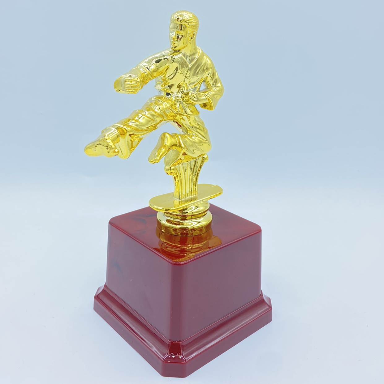 Trofeo brillante trofeo de plástico taekwondo concurso premios de recompensa 16.5CM logotipo personalizado disponible Application Scenario