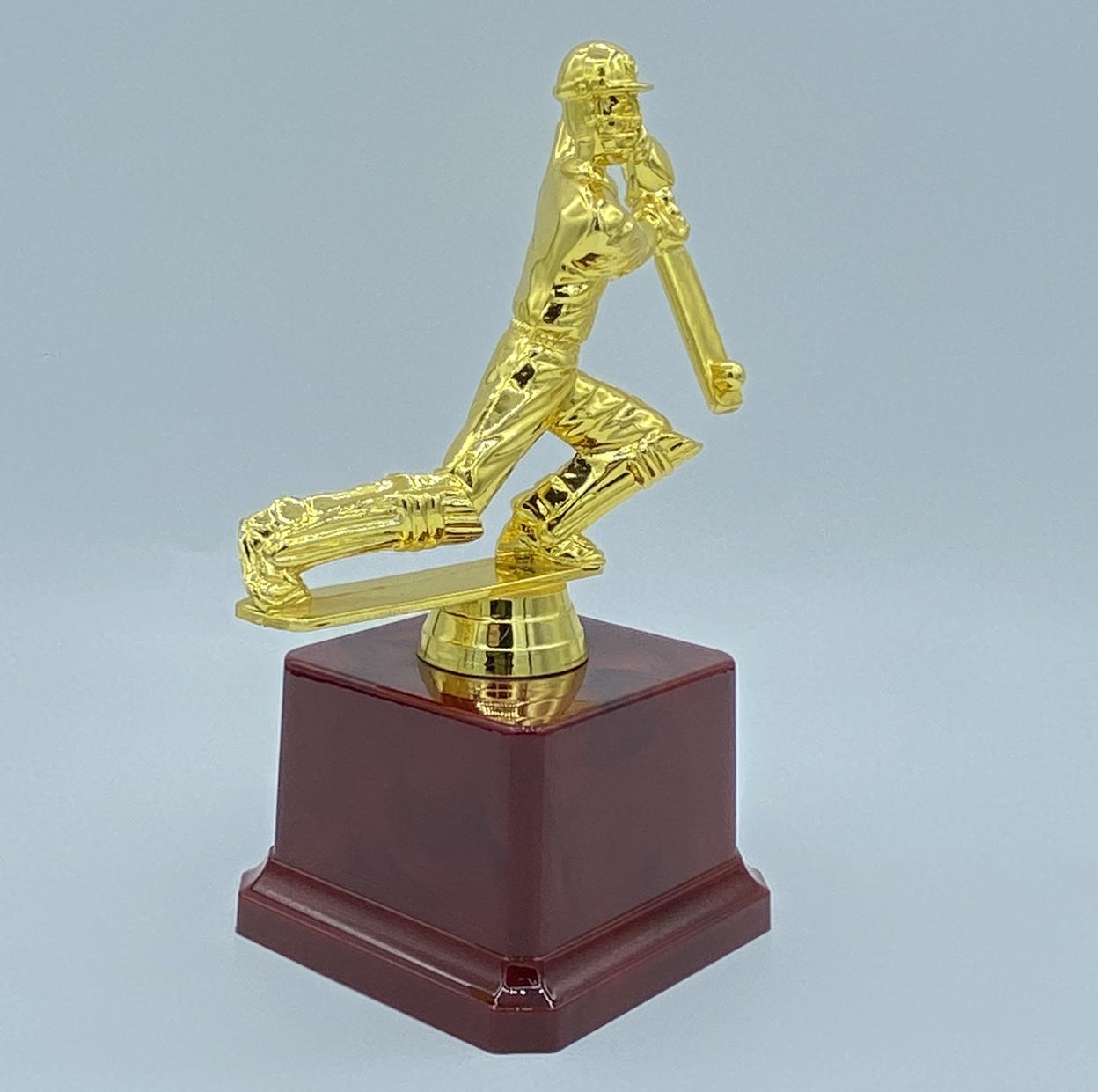 Glorious trophies, cricket, Indian, European and American trendy competition sports factory direct sales, 16CM, customizable logo Application Scenario