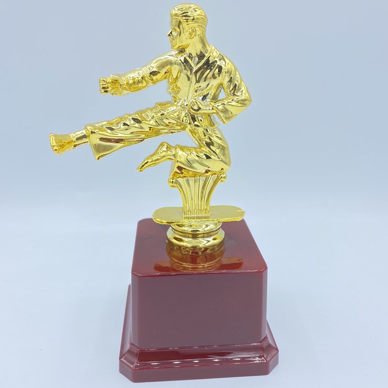 Trofeo brillante trofeo de plástico taekwondo concurso premios de recompensa 16.5CM logotipo personalizado disponible details Picture