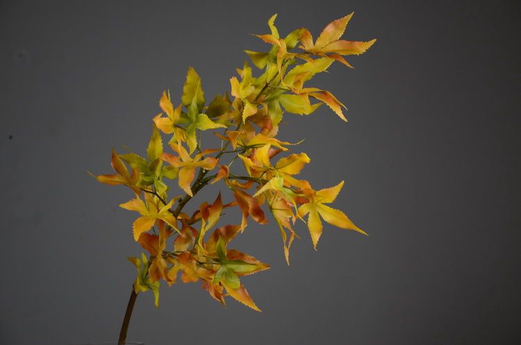 Lanjin Wholesale Factory direct sales of artificial green plants, home decoration flowers, red artificial leaves, artificial maple leaves in stock wholesale, artificial red maple leaves, Japanese maple leaves, Acer palmatum, single-stemmed leaves, indoor and outdoor engineering landscape trees decoration detail image 5