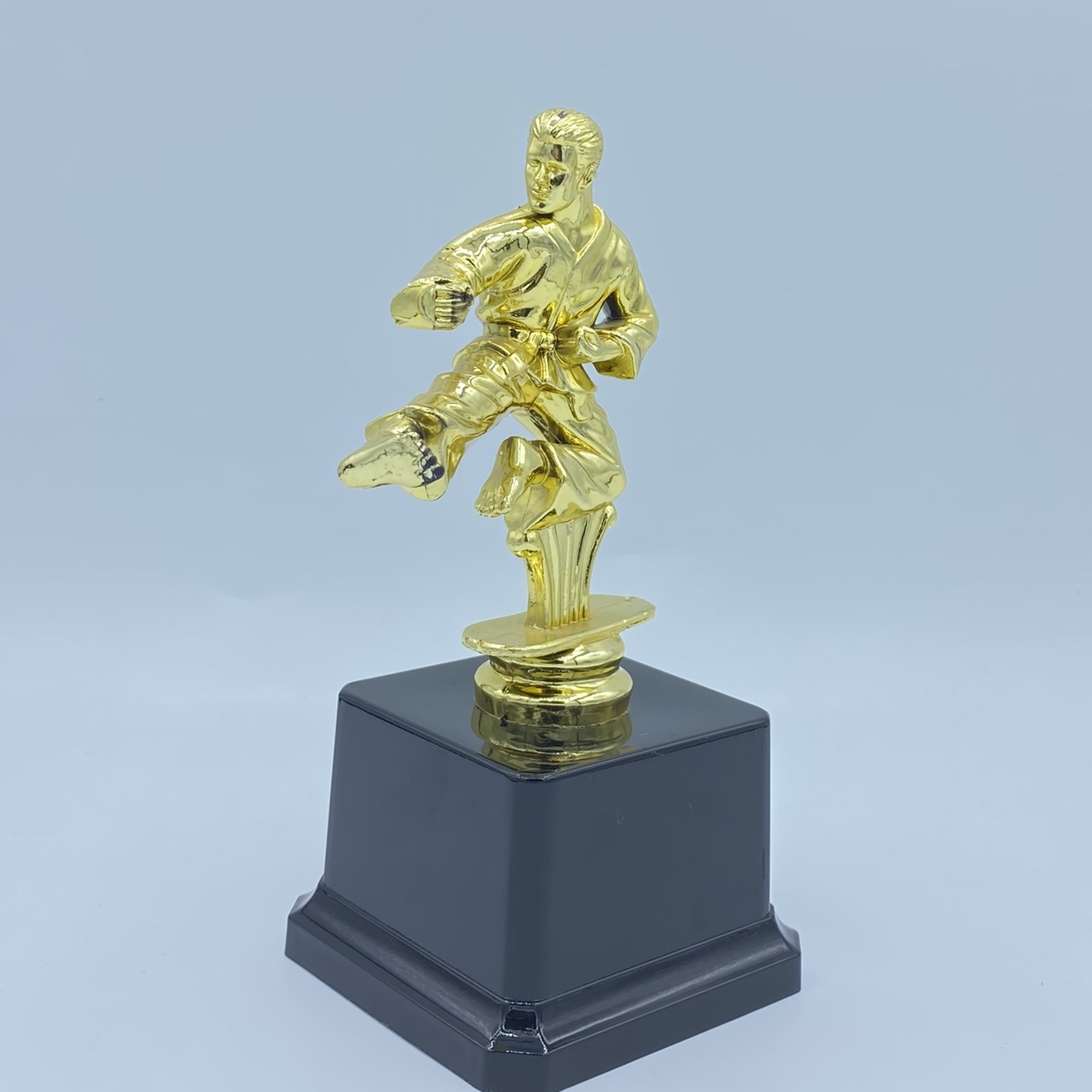 Trofeo brillante trofeo de plástico taekwondo concurso premios de recompensa 16.5CM logotipo personalizado disponible undefined