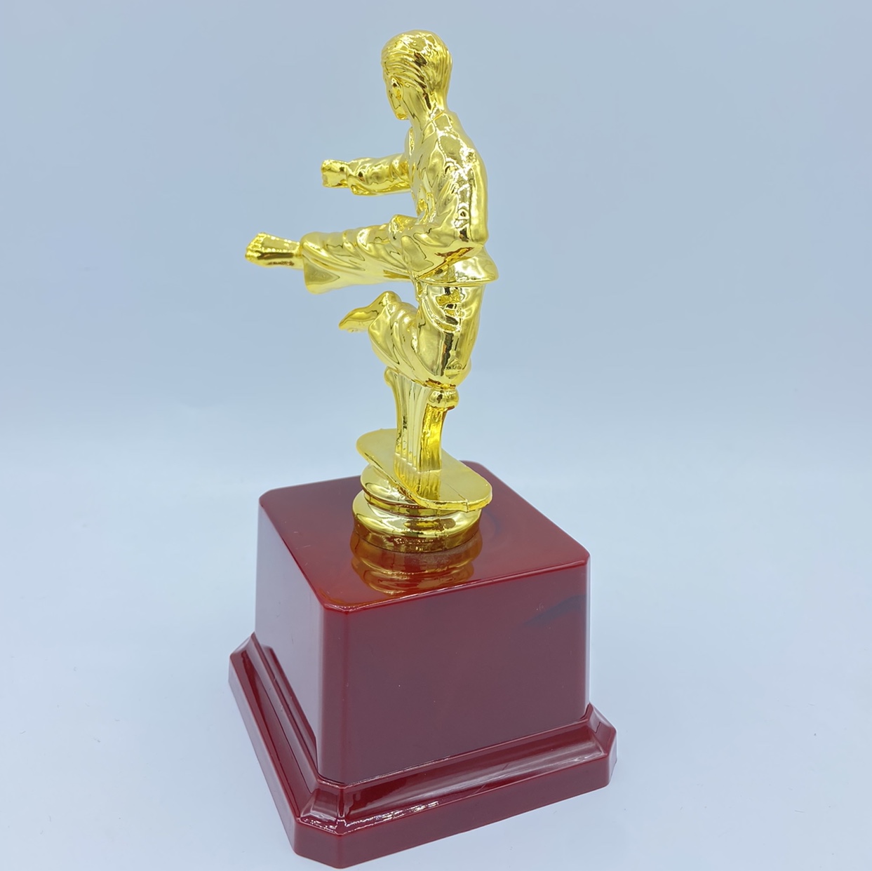 Trofeo brillante trofeo de plástico taekwondo concurso premios de recompensa 16.5CM logotipo personalizado disponible Specification image