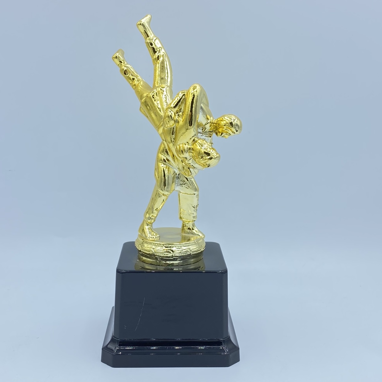 Brilliant trophy plastic material for judo trophy competition 18CM customizable logo