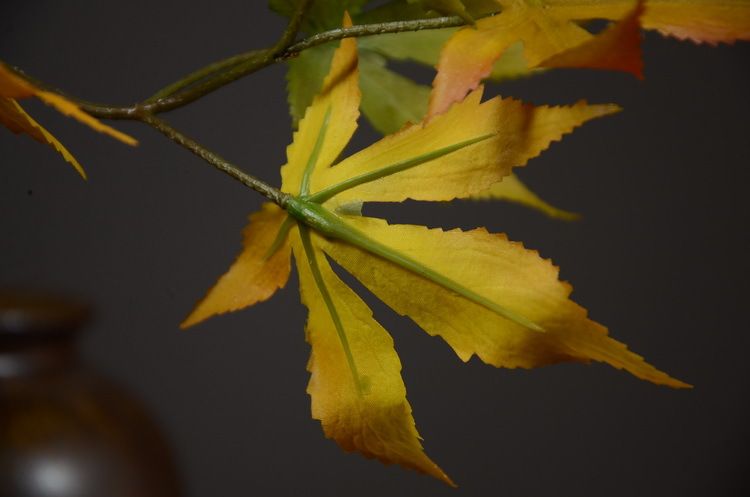 Lanjin Wholesale Factory direct sales of artificial green plants, home decoration flowers, red artificial leaves, artificial maple leaves in stock wholesale, artificial red maple leaves, Japanese maple leaves, Acer palmatum, single-stemmed leaves, indoor and outdoor engineering landscape trees decoration detail image 6
