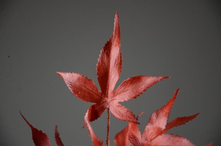 Lanjin Wholesale Factory direct sales of artificial green plants, home decoration flowers, red artificial leaves, artificial maple leaves in stock wholesale, artificial red maple leaves, Japanese maple leaves, Acer palmatum, single-stemmed leaves, indoor and outdoor engineering landscape trees decoration detail image 2