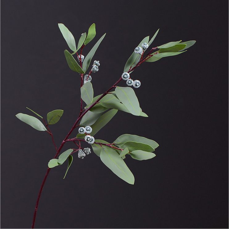 Hot style source factory simple home decoration simulation flower green plant wholesale with fruit long eucalyptu leaves thumbnail