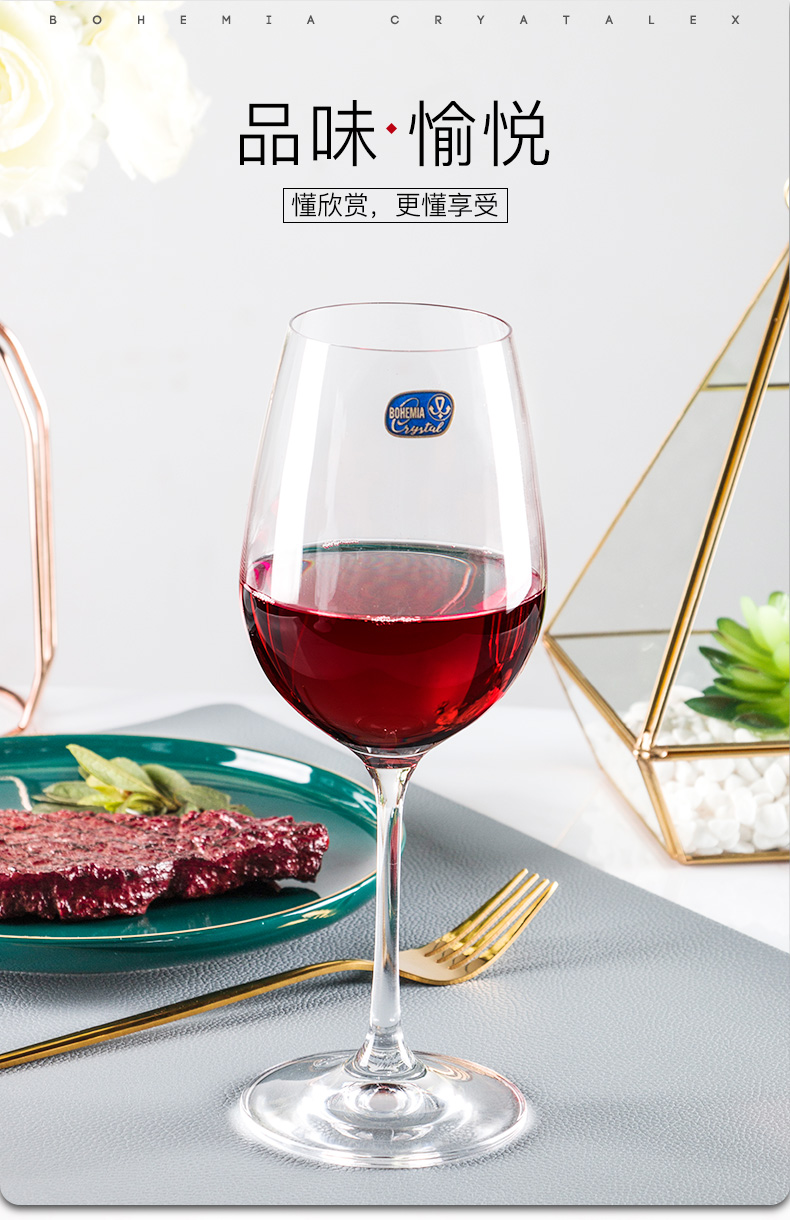 Crystalex, Czech imported lead-free crystal glass wine glass 40729/450 pic 3