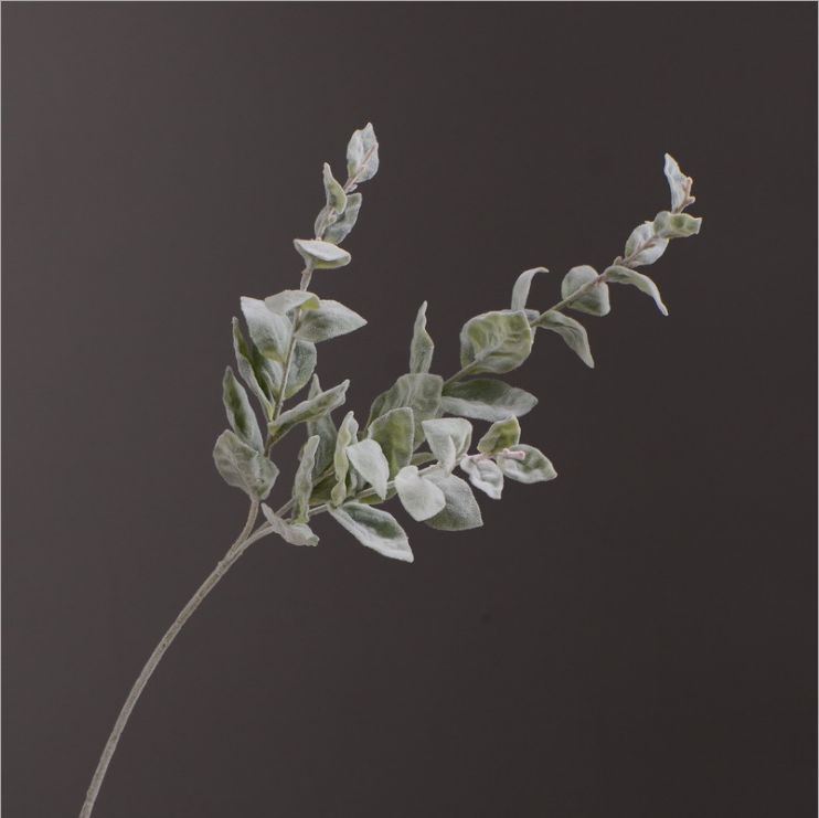 Simulated green plant wholesale wall flower decoration material with simulated white down hair leaves white chiffon basil leaves thumbnail
