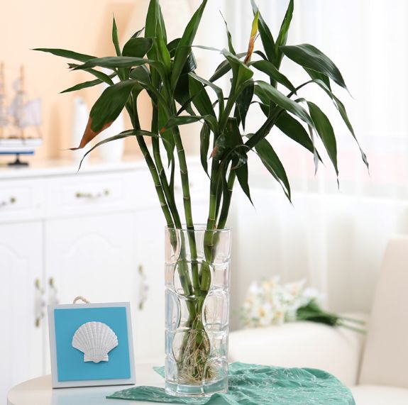 义乌好货 加厚透明玻璃花瓶直筒富贵竹百合水培花盆欧式简约图