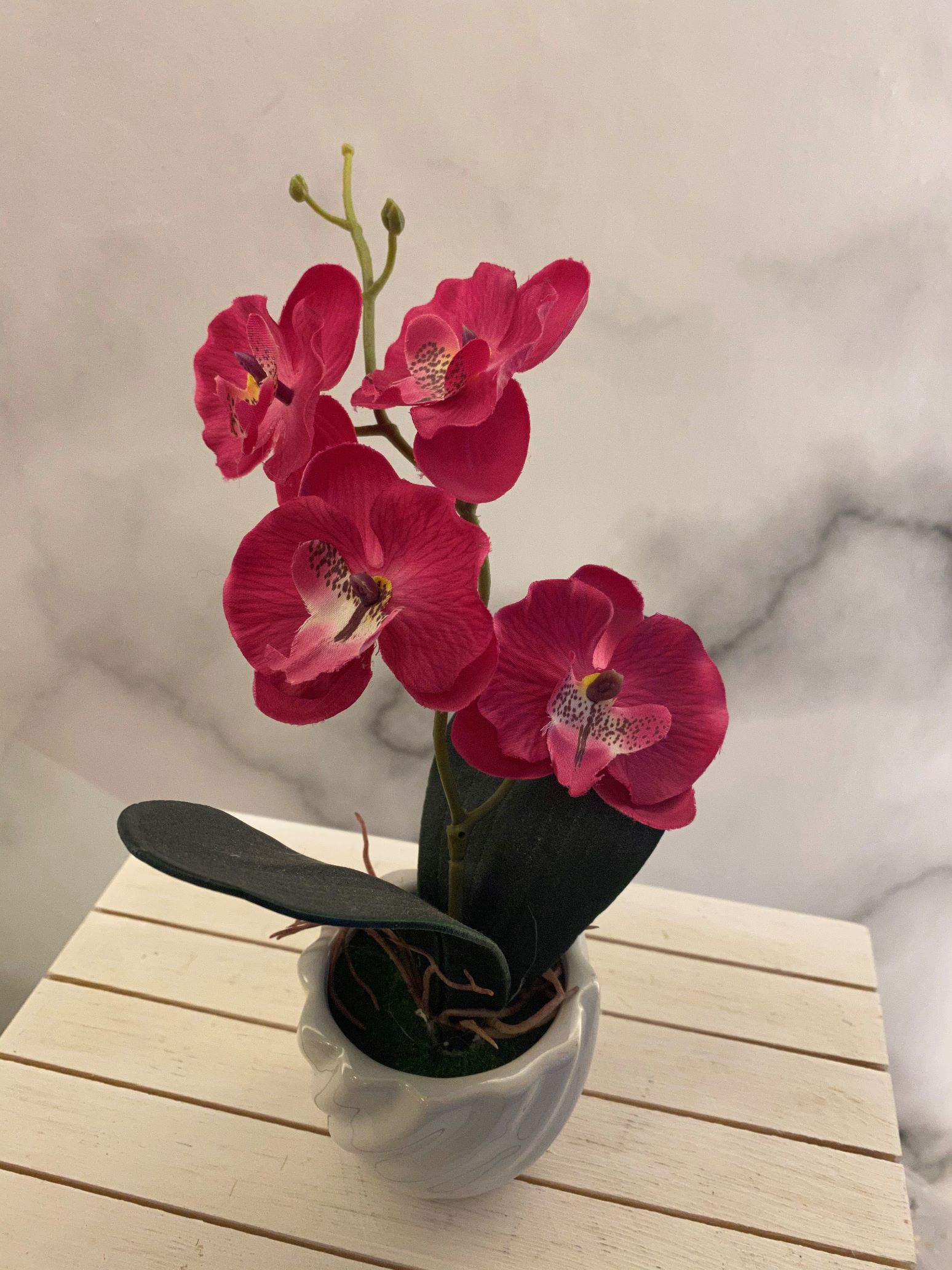 Ceramic butterfly orchid details Picture