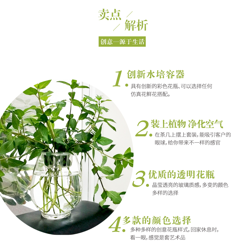 Yiwu quality products: Water-cultivated dinosaur eggs, green ivy vases, transparent glass vases, water-cultivated plant containers, flowerpots pic 5