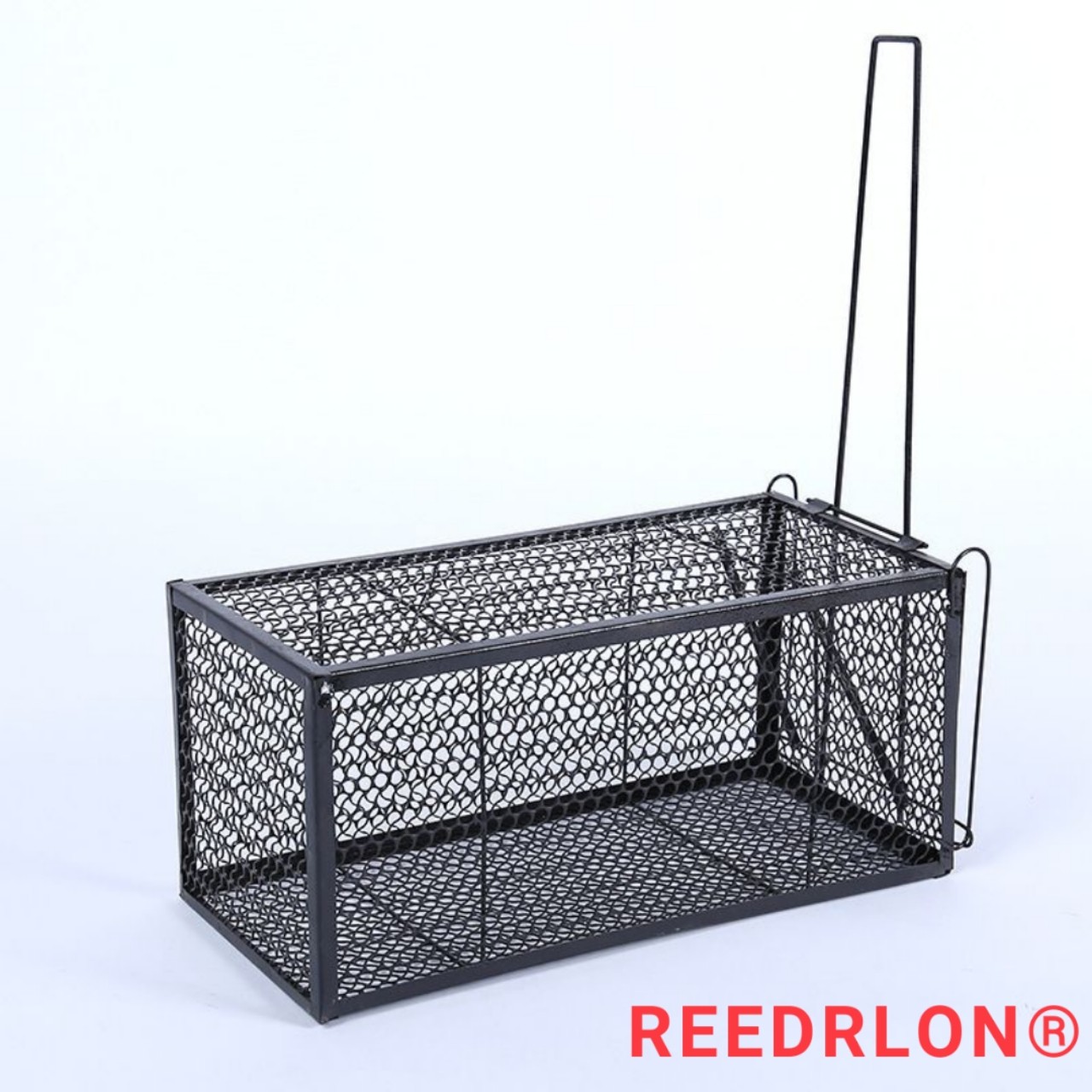REEDRLON RATTRAP 雷德隆捕鼠笼老鼠笼子详情图3