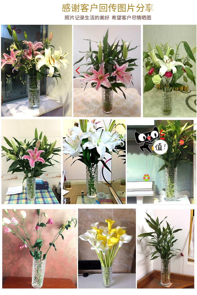 义乌好货 加厚透明玻璃花瓶直筒富贵竹百合水培花盆欧式简约详情5