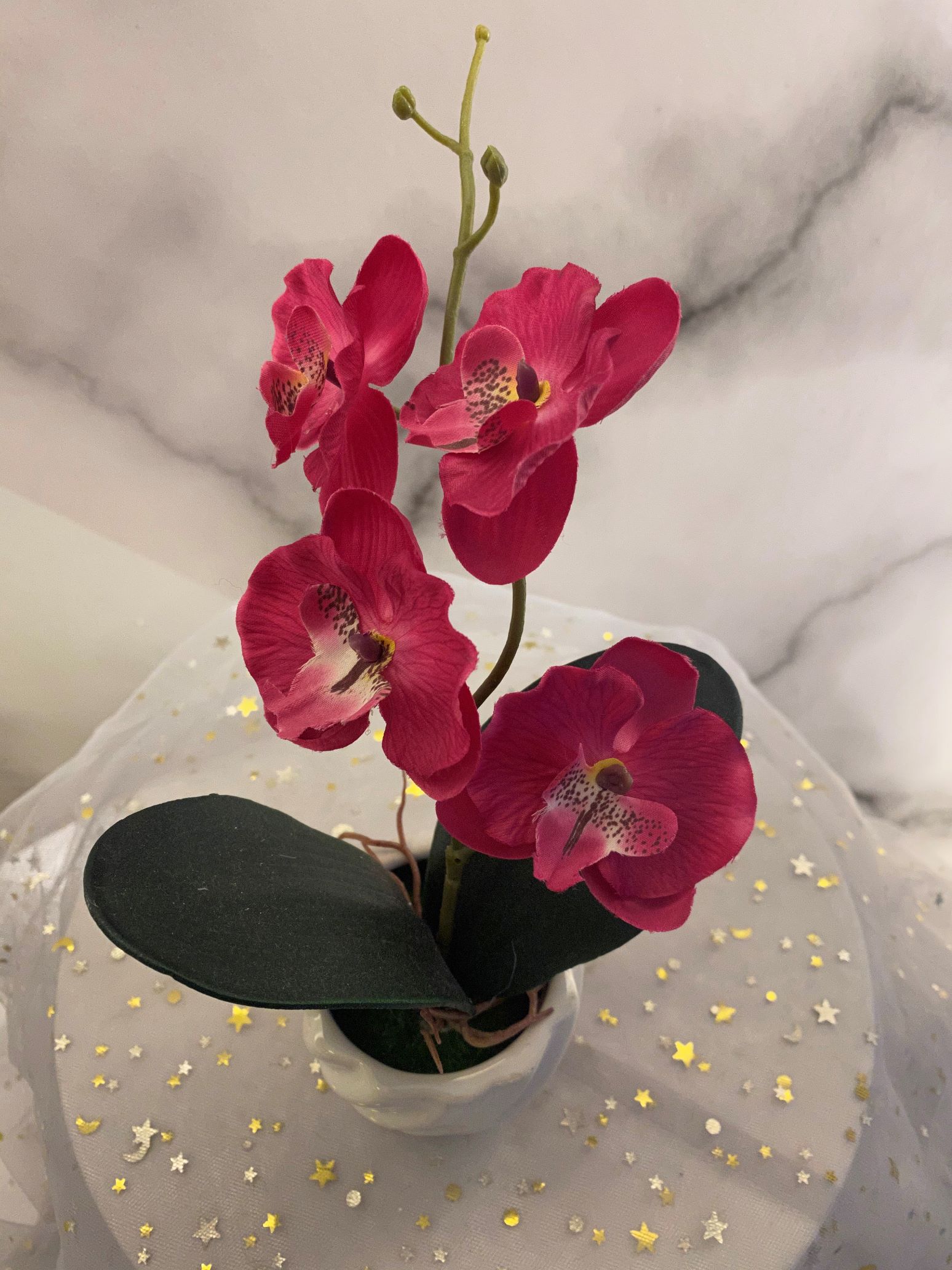 Ceramic butterfly orchid